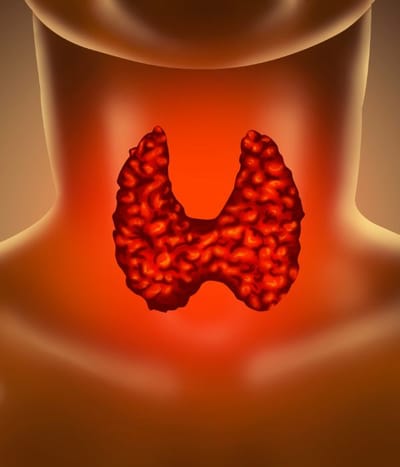 Hypothyroïdie : guide complet sur le diagnostic, les symptômes et les traitements en 2024