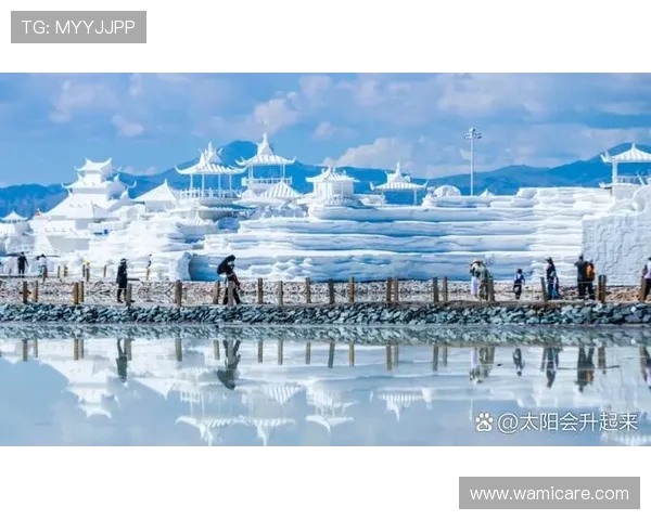 ag轮盘首页官网入口，安全稳定的在线娱乐体验尽在这里